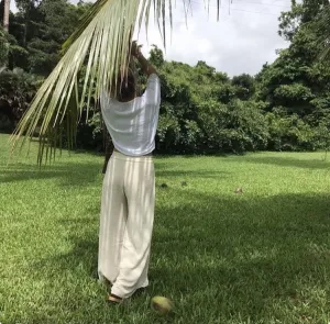 Casa Luna Pant - Oatmeal linen blend