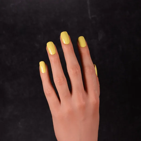 Dimension Nails - Argentine Pampas - Viscacha
