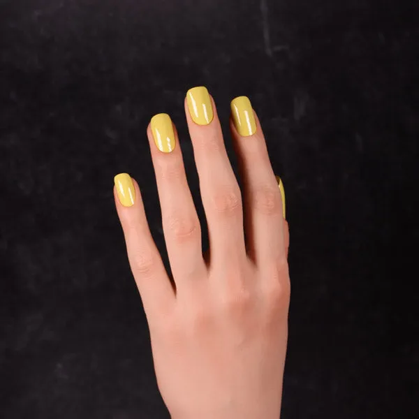 Dimension Nails - Argentine Pampas - Viscacha