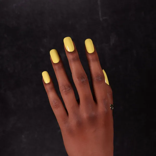 Dimension Nails - Argentine Pampas - Viscacha