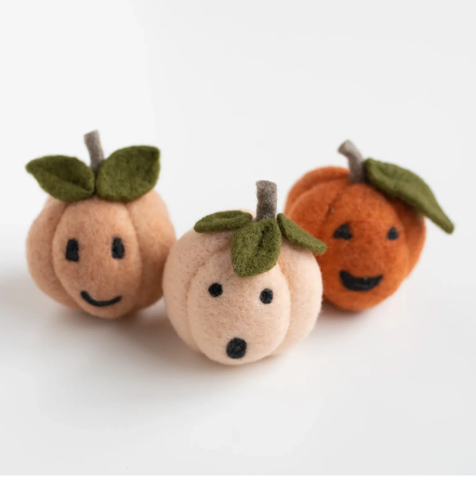 Felted Sky Needle Felting Kit : Pumpkin Friends