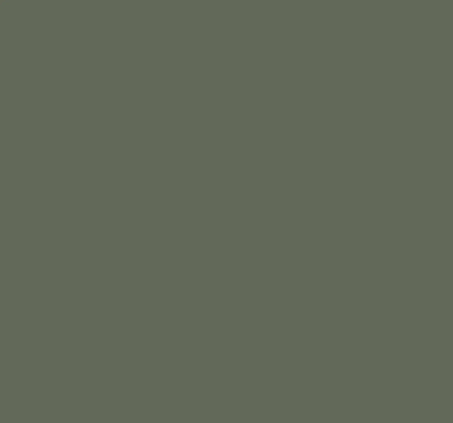 Haymes Mimosa Leaf