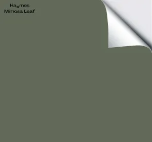 Haymes Mimosa Leaf
