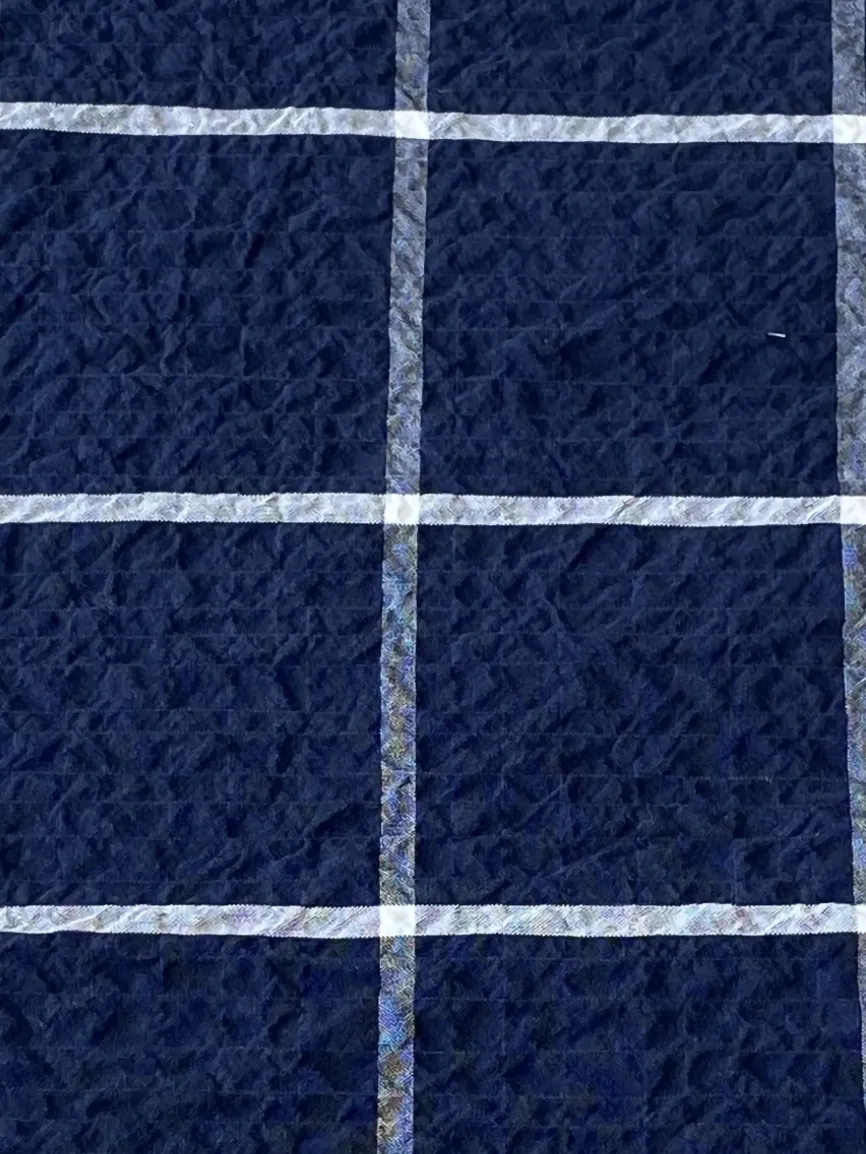 Savannah Crisp Check Shirt - Navy