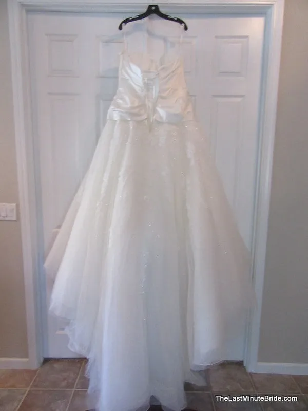 Sophia Tolli Y11404 Arya