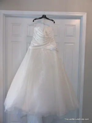 Sophia Tolli Y11404 Arya