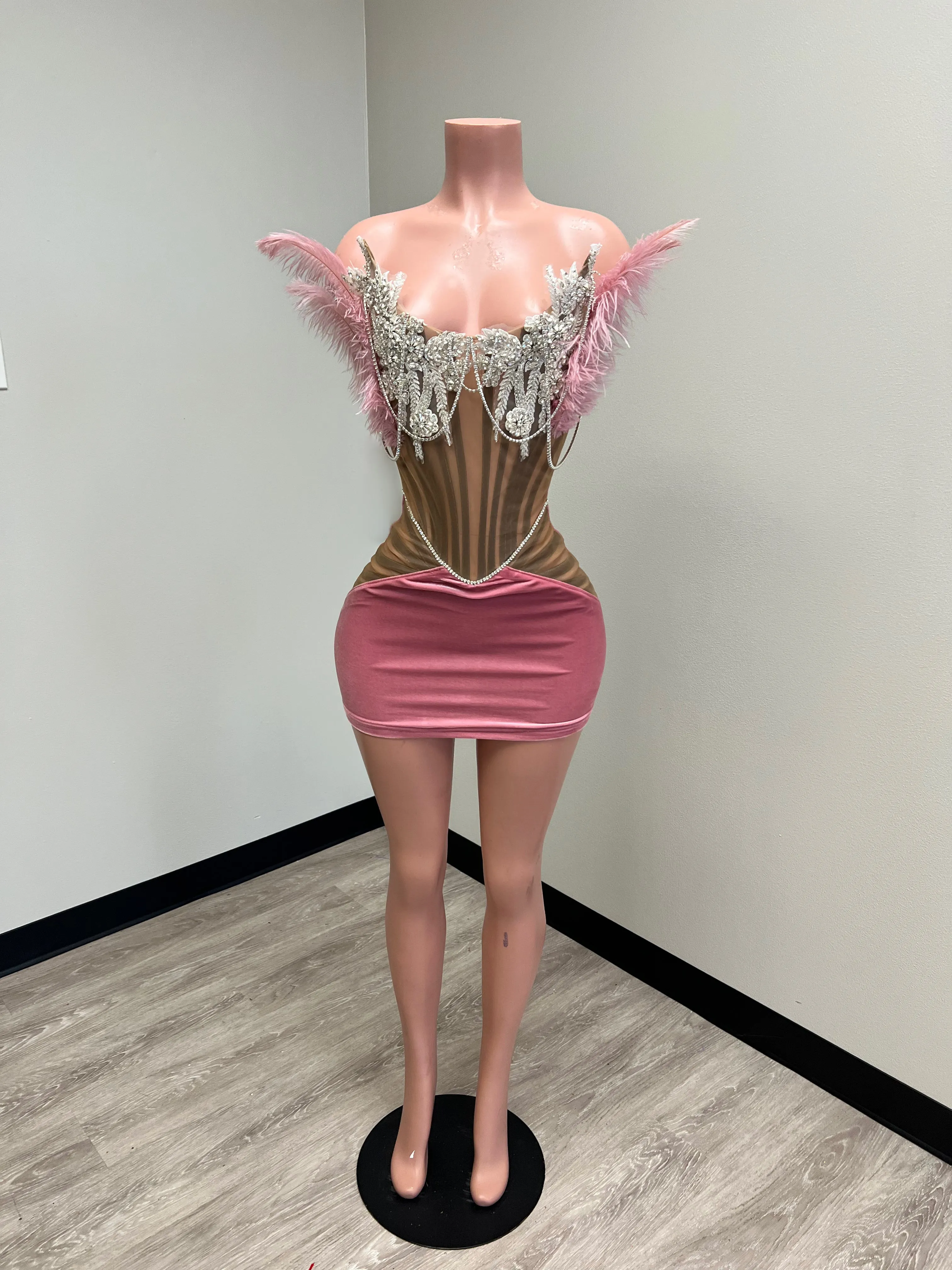 Velvet Corset Mini Dress w/ Feather & Stone Detail