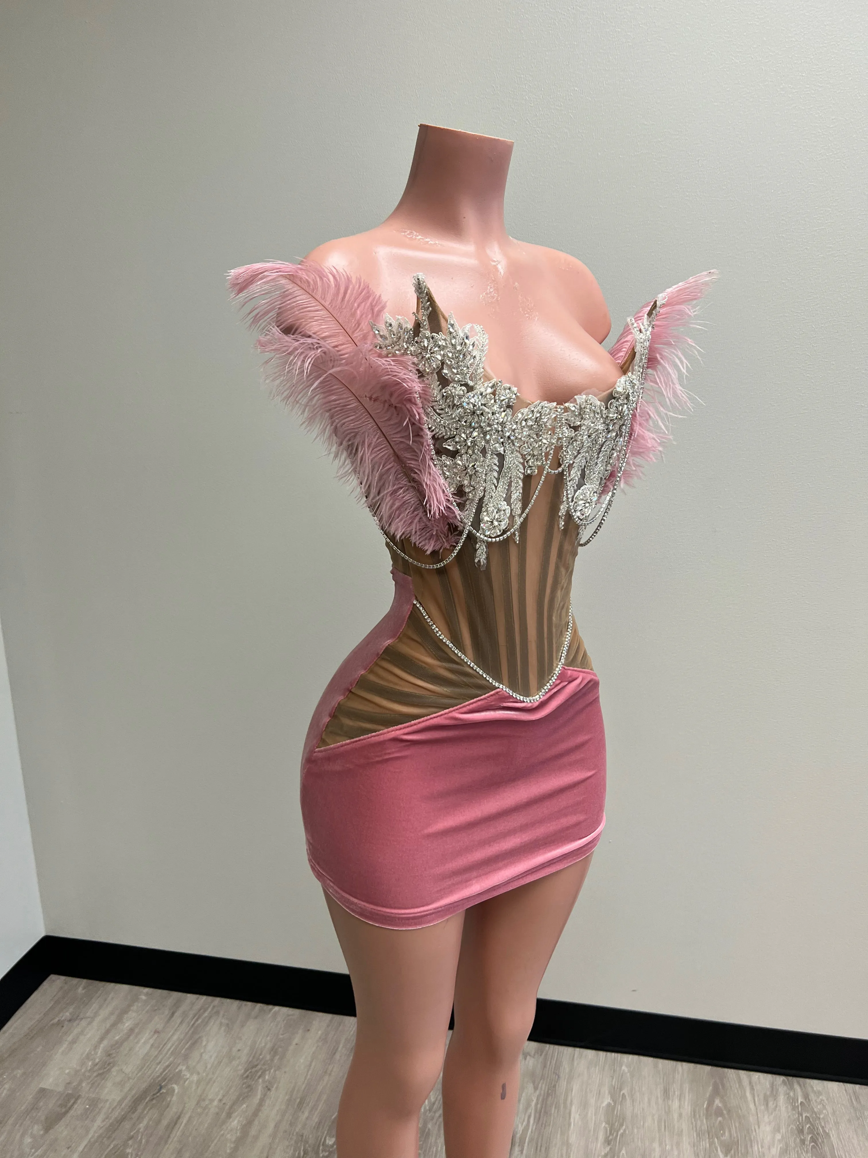 Velvet Corset Mini Dress w/ Feather & Stone Detail