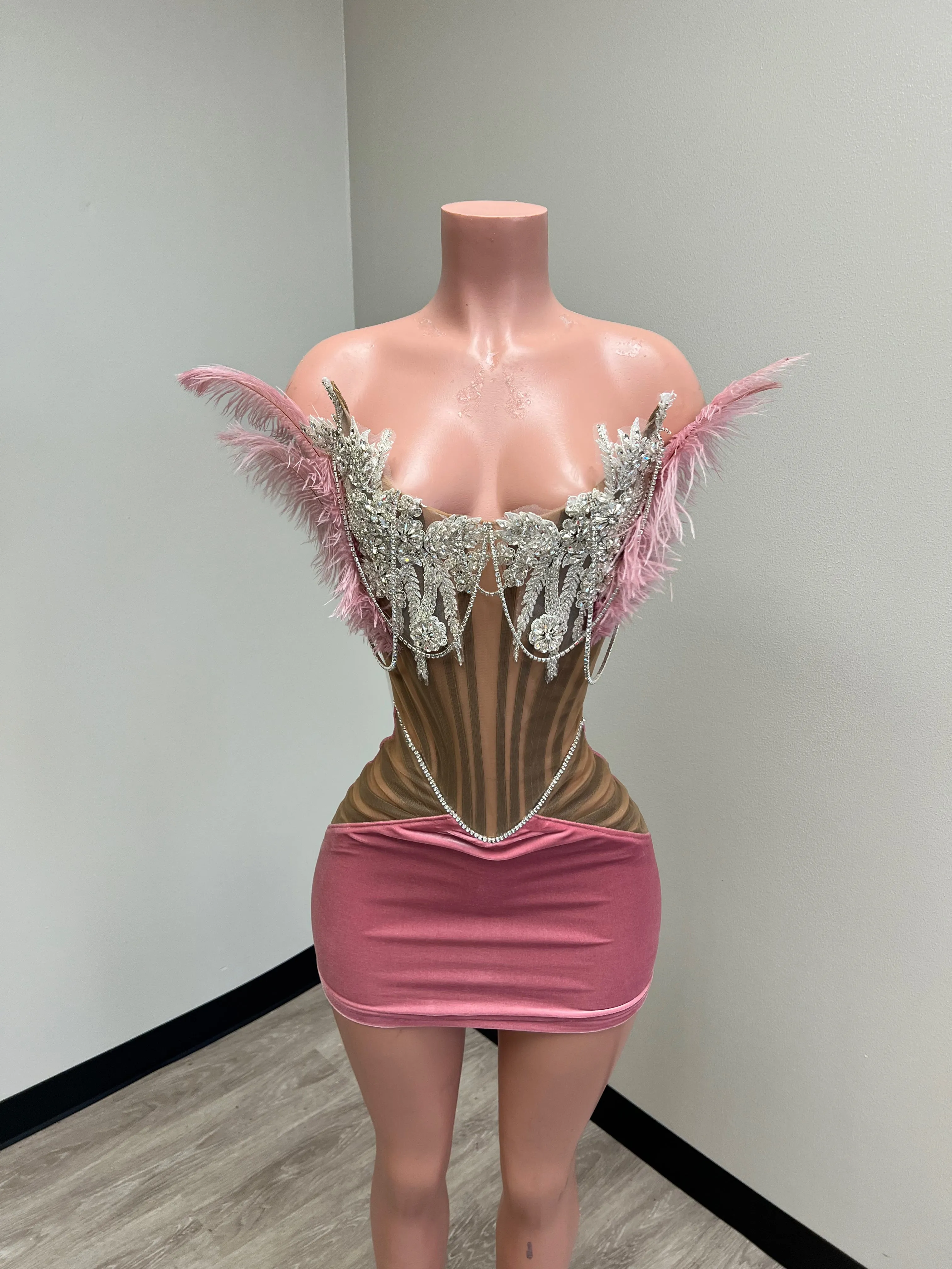 Velvet Corset Mini Dress w/ Feather & Stone Detail
