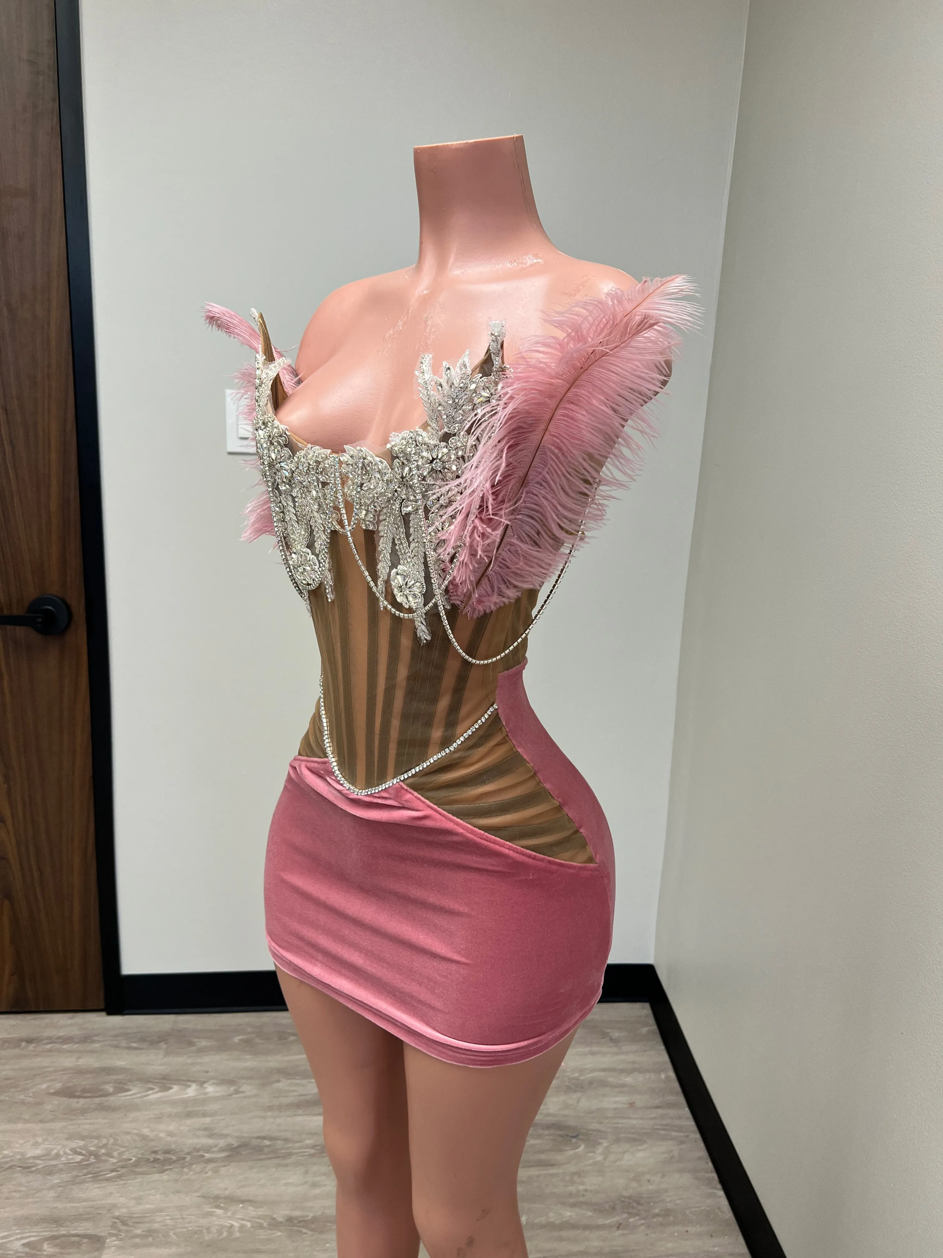 Velvet Corset Mini Dress w/ Feather & Stone Detail